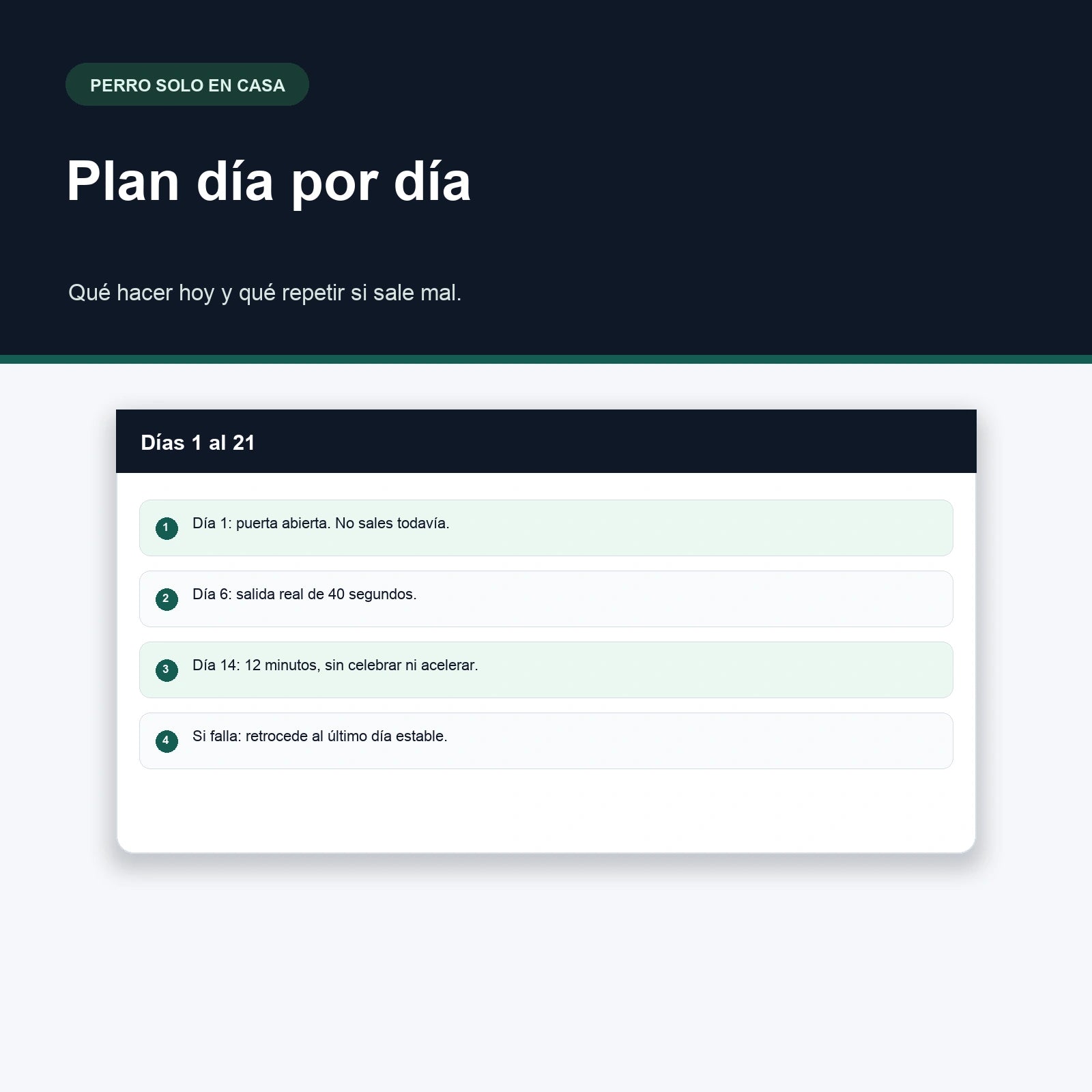 Lo que hace tu perro cuando te vas — El plan de 21 días