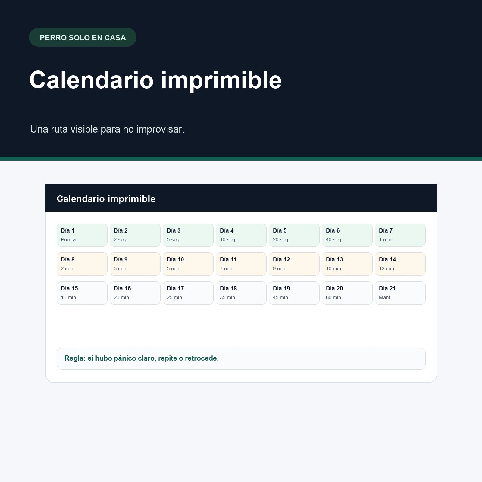 Lo que hace tu perro cuando te vas — El plan de 21 días