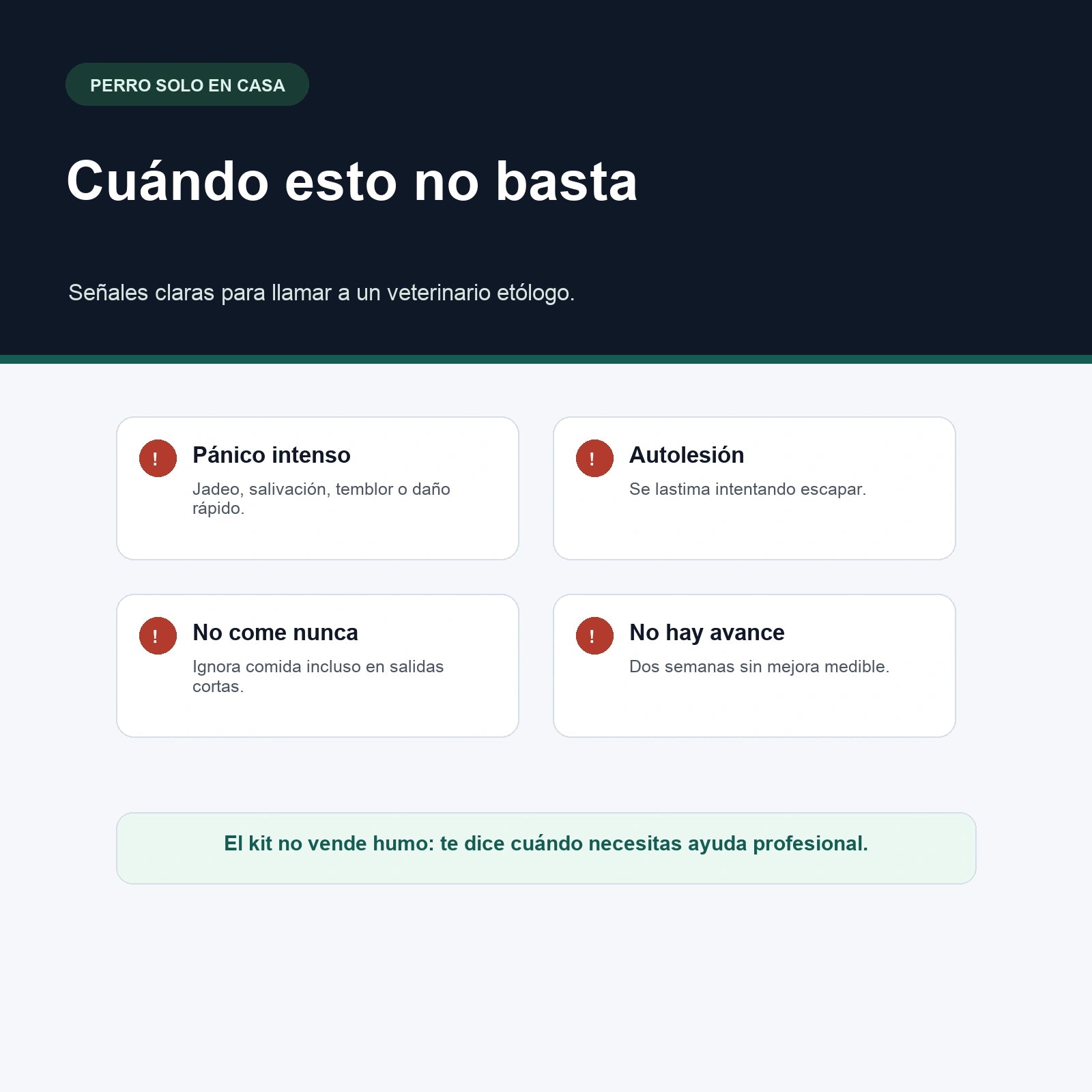 Lo que hace tu perro cuando te vas — El plan de 21 días