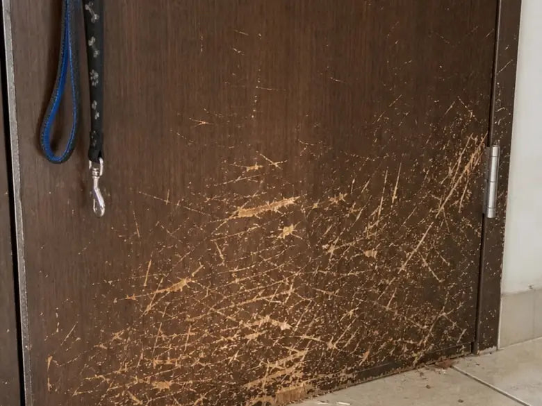 Marcas de rasguños en la parte baja de una puerta de madera