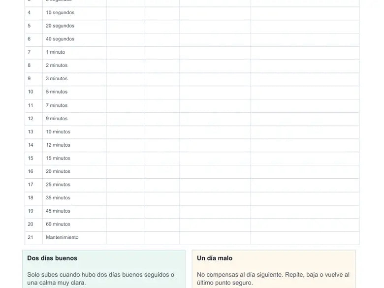 Captura real de la hoja de registro diario del plan